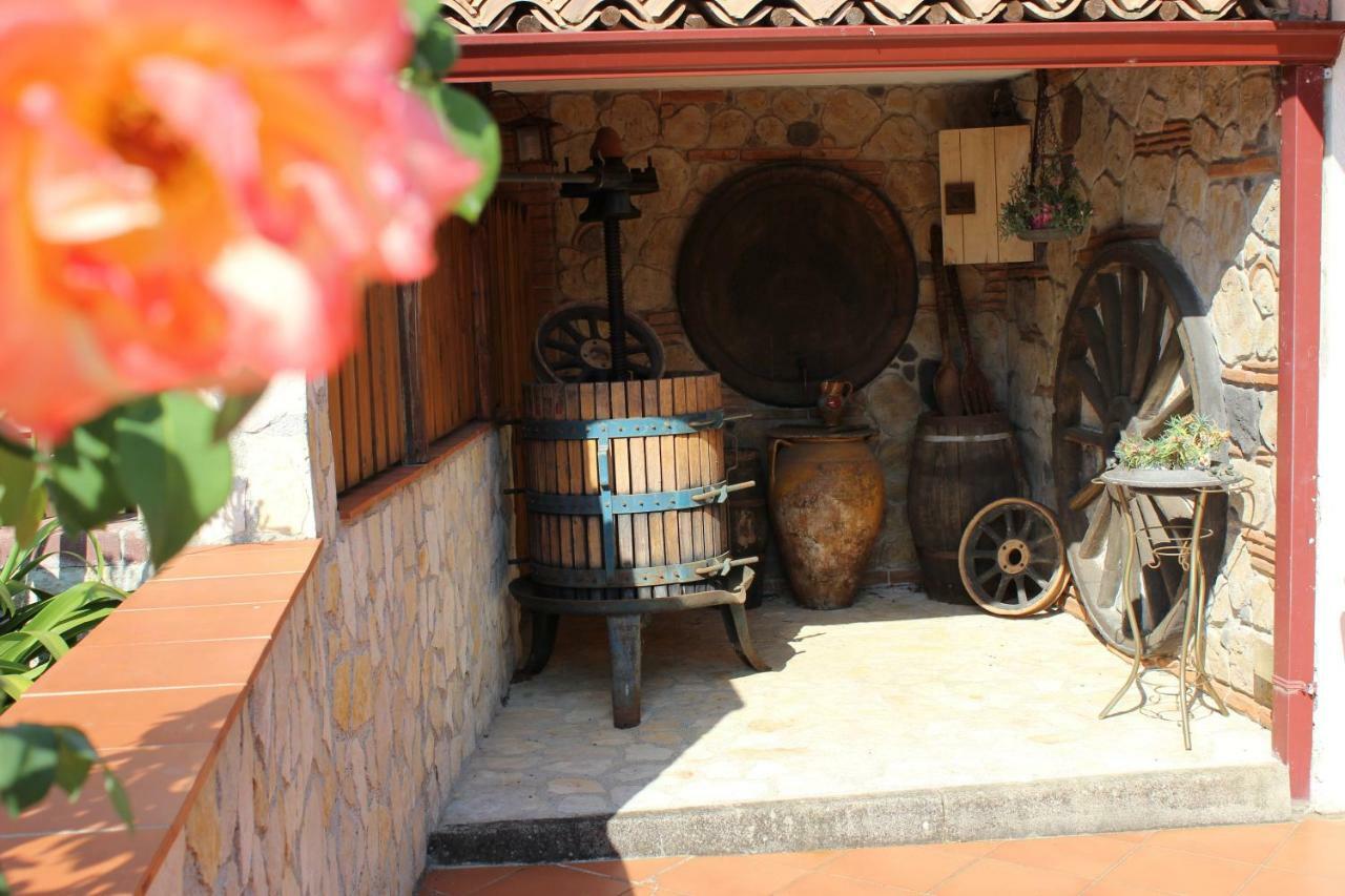 B&B La Vigna Ламеція-Терме Екстер'єр фото